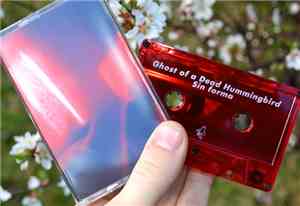 Ghost of a Dead Hummingbird - Sin forma