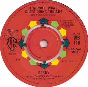 Barry And The Tamerlanes - I Wonder What She's Doing Tonight