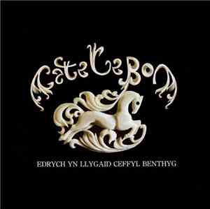 Cate Le Bon - Edrych Yn Llygaid Ceffyl Benthyg