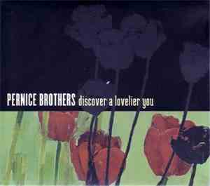 Pernice Brothers - Discover A Lovelier You