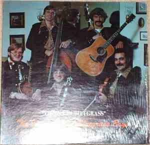 The Izard County Bluegrass Boys - Visions In Bluegrass