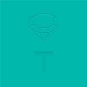 Diamond Terrifier - The Subtle Body Wears A Shadow