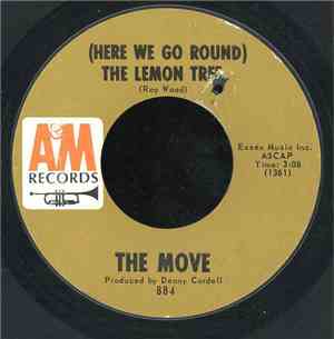 The Move - Flowers In The Rain