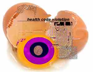 Dingo  - health code violation