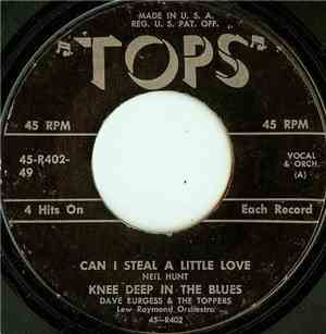 Neil Hunt / Dave Burgess & The Toppers  - Untitled