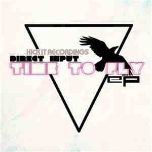 Direct Input  - Time To Fly EP