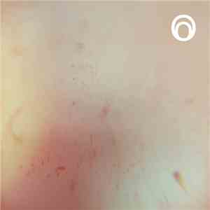 Ohrwert - Tracing Rays