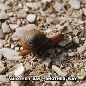 Various - Another Day, Another Way