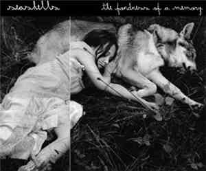 Seashells  - The Fondness Of A Memory
