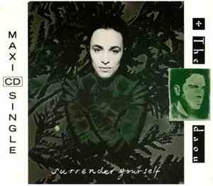 The Daou - Surrender Yourself