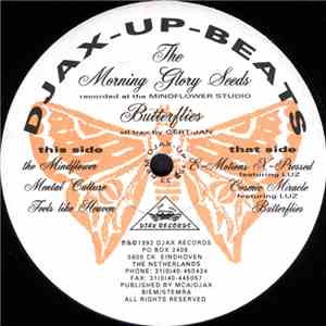 The Morning Glory Seeds - Butterflies