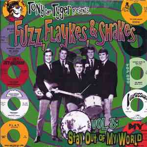 Various - Fuzz, Flaykes, & Shakes Vol. 3: Stay Out Of My World