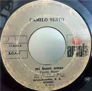 Camilo Sesto - Mi Buen Amor / Con El Viento A Tu Favor