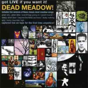 Dead Meadow - Got Live If You Want It!