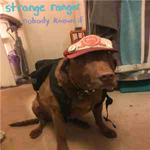 Strange Ranger - Nobody Knows If