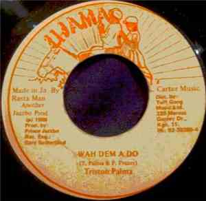 Triston Palma - Wah Dem A Do