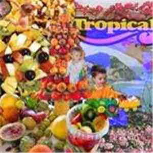 Tropical Painforest - Tropical