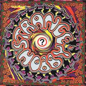 Arjen Anthony Lucassen - Strange Hobby