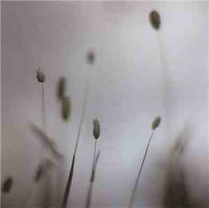 Peter Broderick - Float