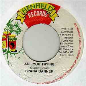Spanner Banner - Are You Trying