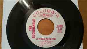 The Buckinghams - I Got A Feelin'