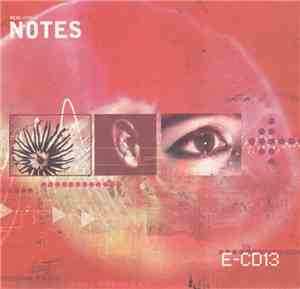Various - Real World Notes E-CD13
