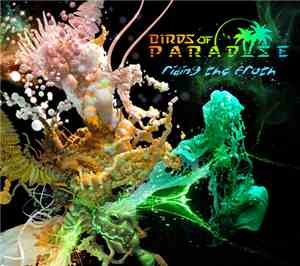 Birds of Paradise  - Riding The Froth