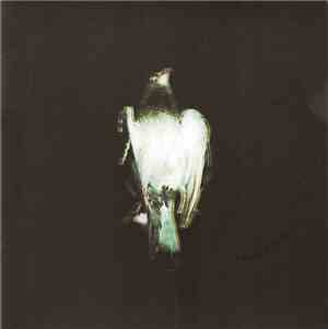 Black Shapes - In The Mourning Light