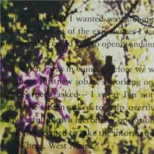 David Newlyn - Like The Work Of A Man Who Has Seen A Ghost (Collected Compilation Tracks 2006-2015)