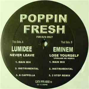 Lumidee / Eminem - Never Leave / Lose Yourself (Punjabi MC Remix)