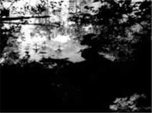 Love Puppets - River Heart