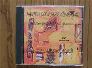 Bertrand Renaudin - Miscellaneous Songs