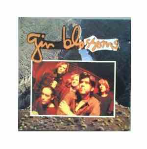Gin Blossoms - Goodbye Douglas Hopkins