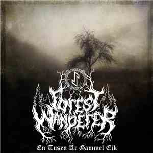 Forest Wanderer - En Tusen År Gammel Eik