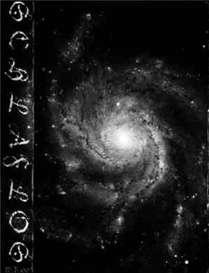 Schlaflos - Schlaflos
