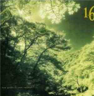 16 Tambourines - How Green Is Your Valley ?