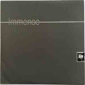 Immense - Evil Ones & Zeroes