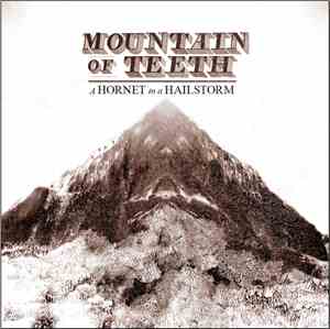 Mountain Of Teeth - A Hornet In A Hailstorm