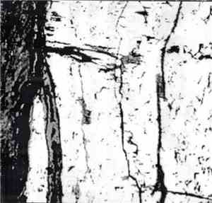 Шлам / Selbst-Morder - Split CD