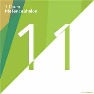T Raum - Metencephalon