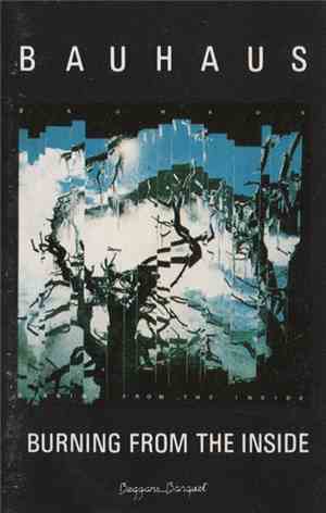 Bauhaus - Burning From The Inside
