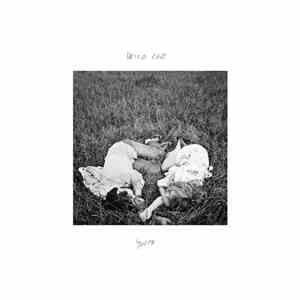 Wild Cub - Youth