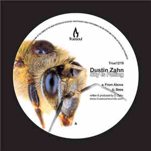 Dustin Zahn - Sky Is Falling