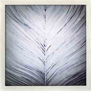 Sucré Salé - She's Like The Wind