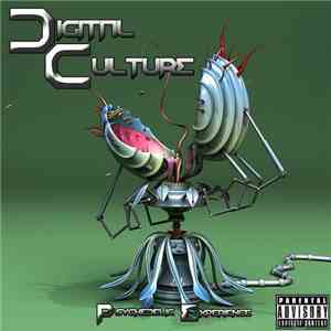 Digital Culture  - Psychedelic Experience