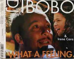 DJ BoBo & Irene Cara - What A Feeling