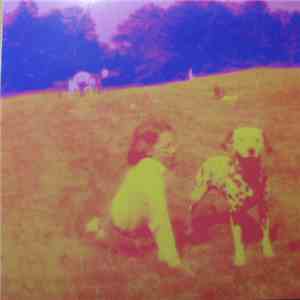 Eels - Blinking Lights And Other Revelations