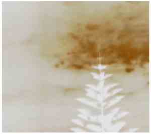 Turpentine  - (Untitled)