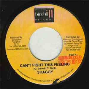 Shaggy - Can't Fight This Feeling