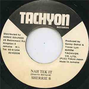 Sherrie B - Nah Tek It